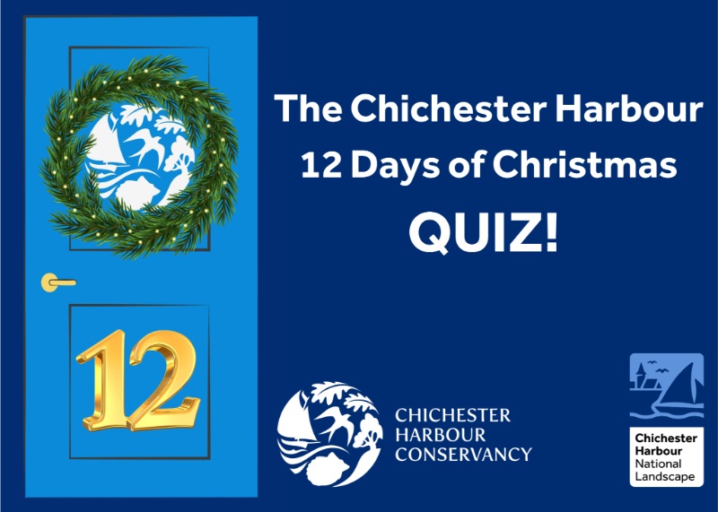 12 Days of Christmas Quiz