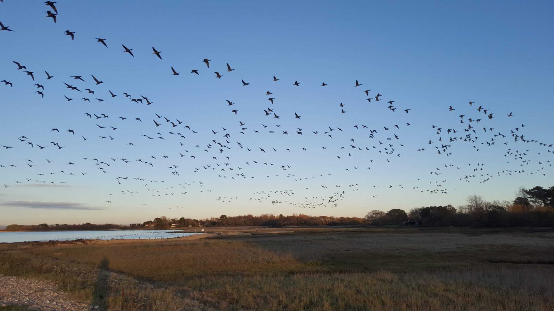 Environmental Landholdings - Chichester Harbour Conservancy