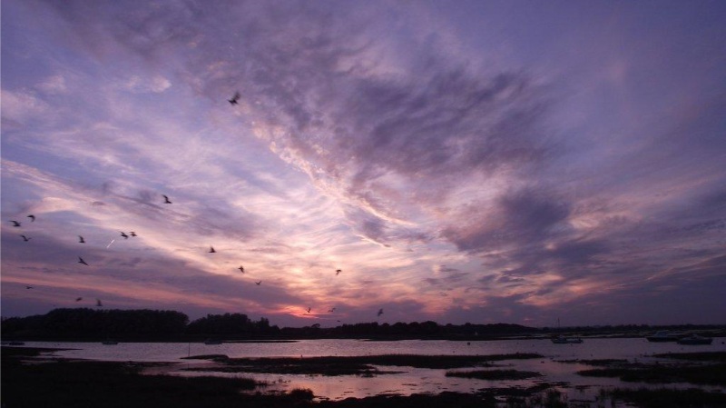 Dark Skies Chichester Harbour