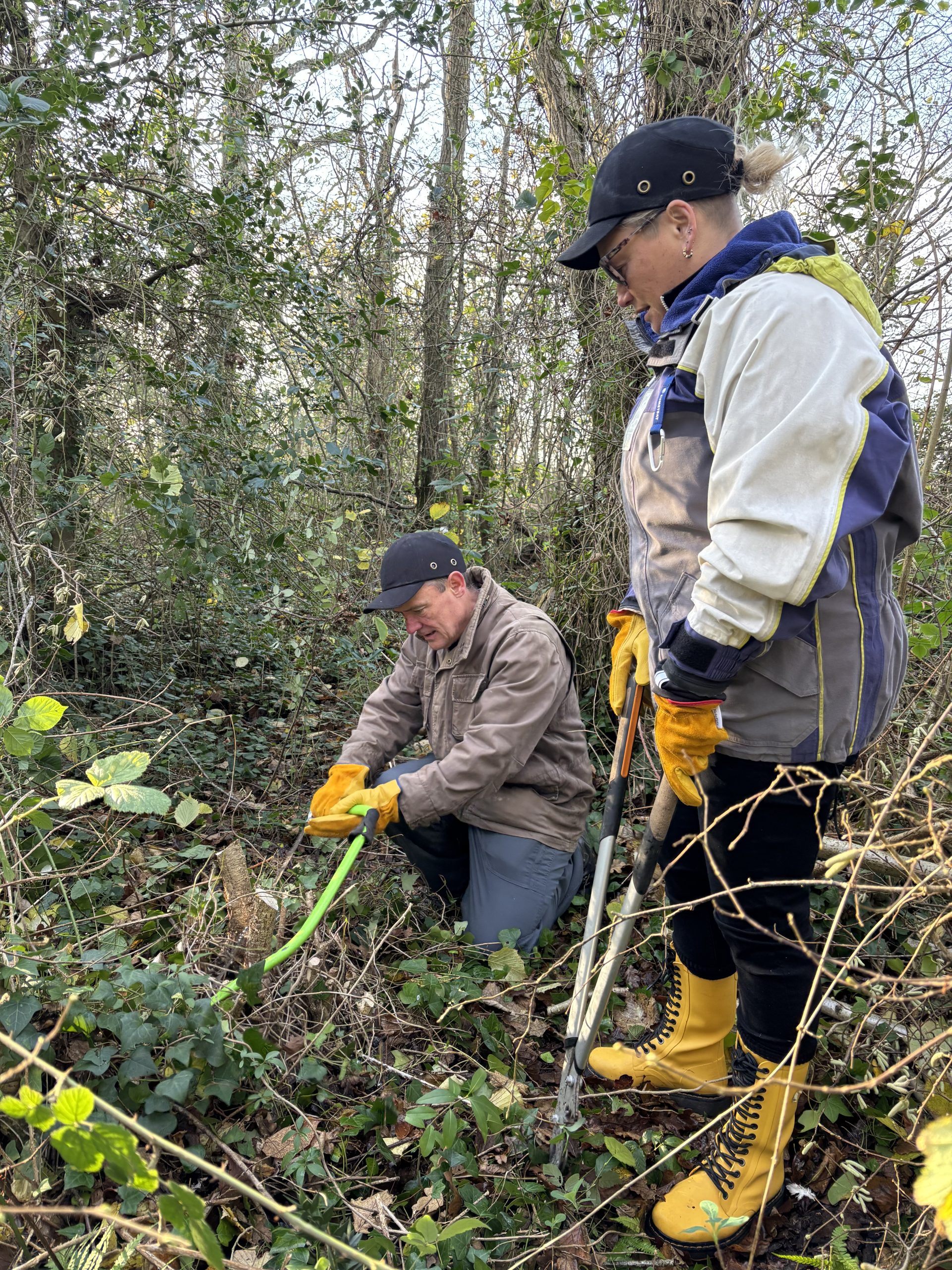 Volunteers from Lockheed Martin work with Chichester Harbour Conservancy Rangers at Salterns Copse.  Dec 2024